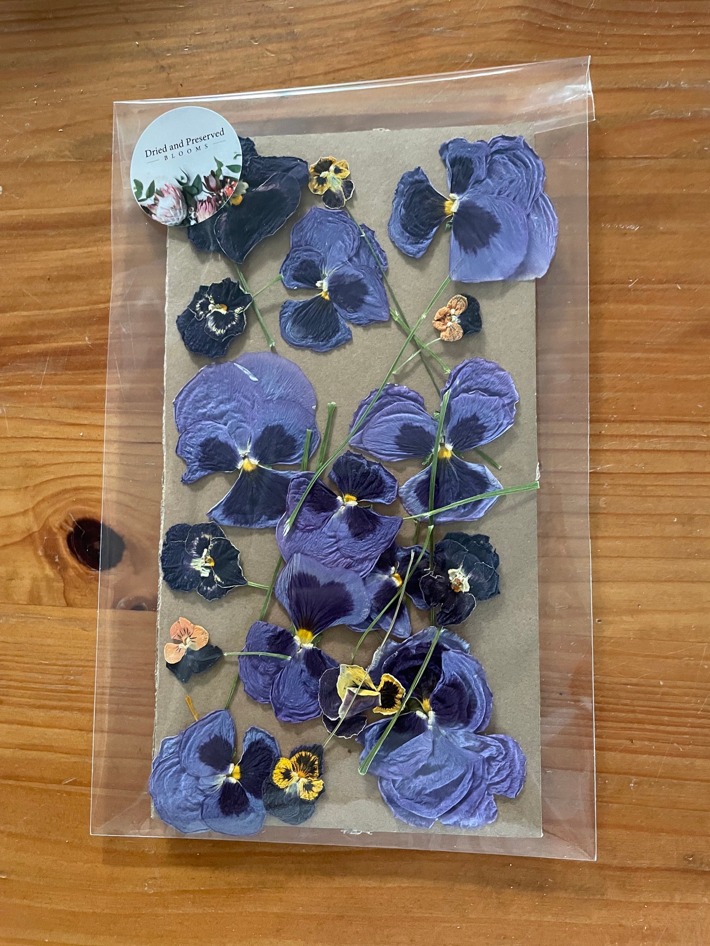 Pressed Flower Pack Viola/Pansy Mauve