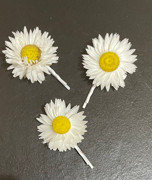 Hair pin ~ single Daisy