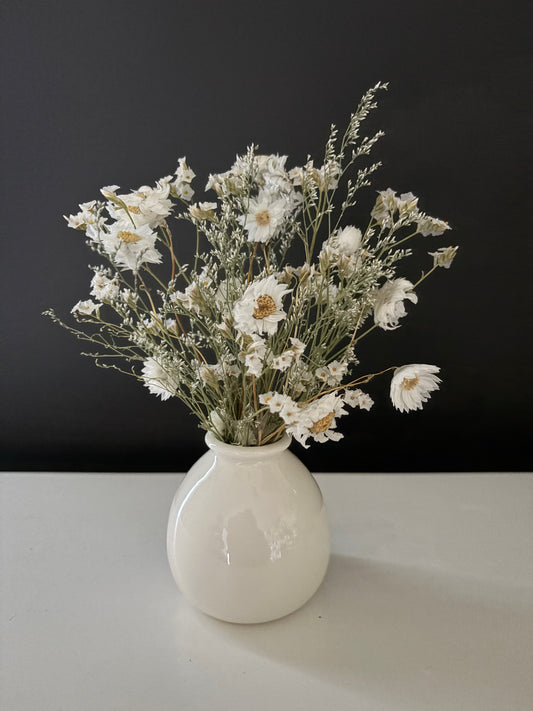 Daisy