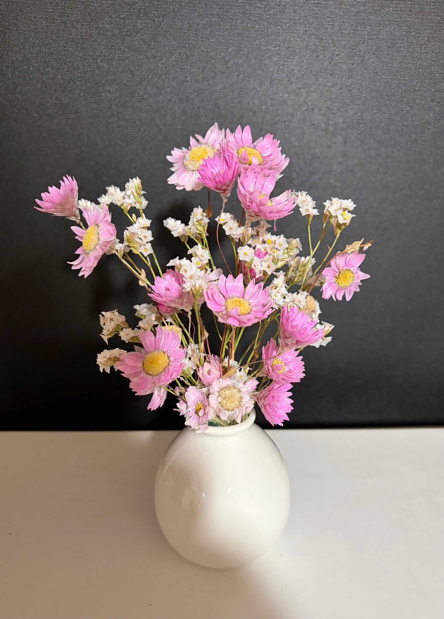 Daisy (Pink)