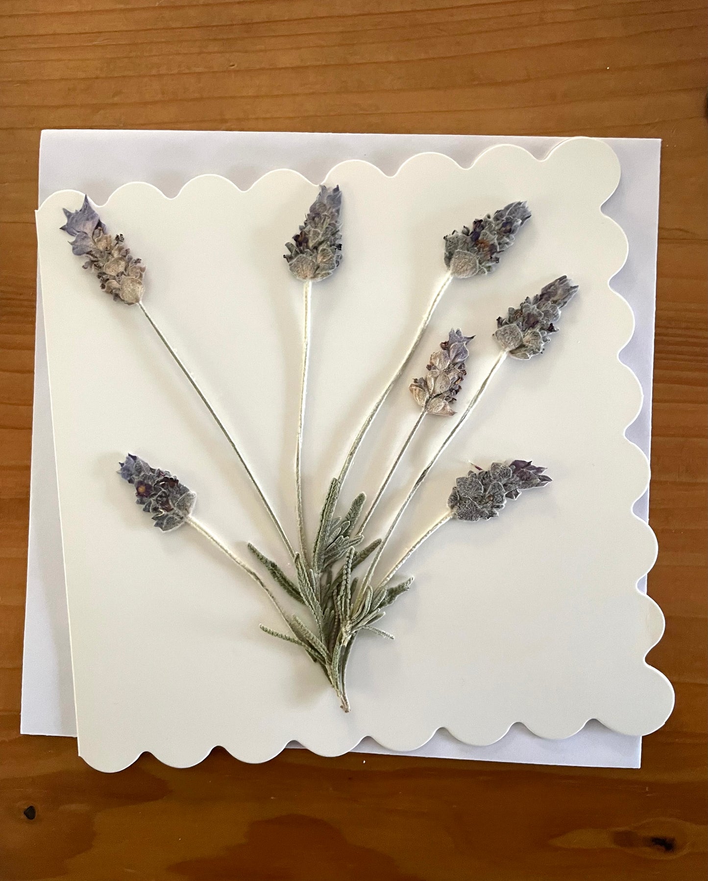 Pressed Flower Greeting Card~ Lavender
