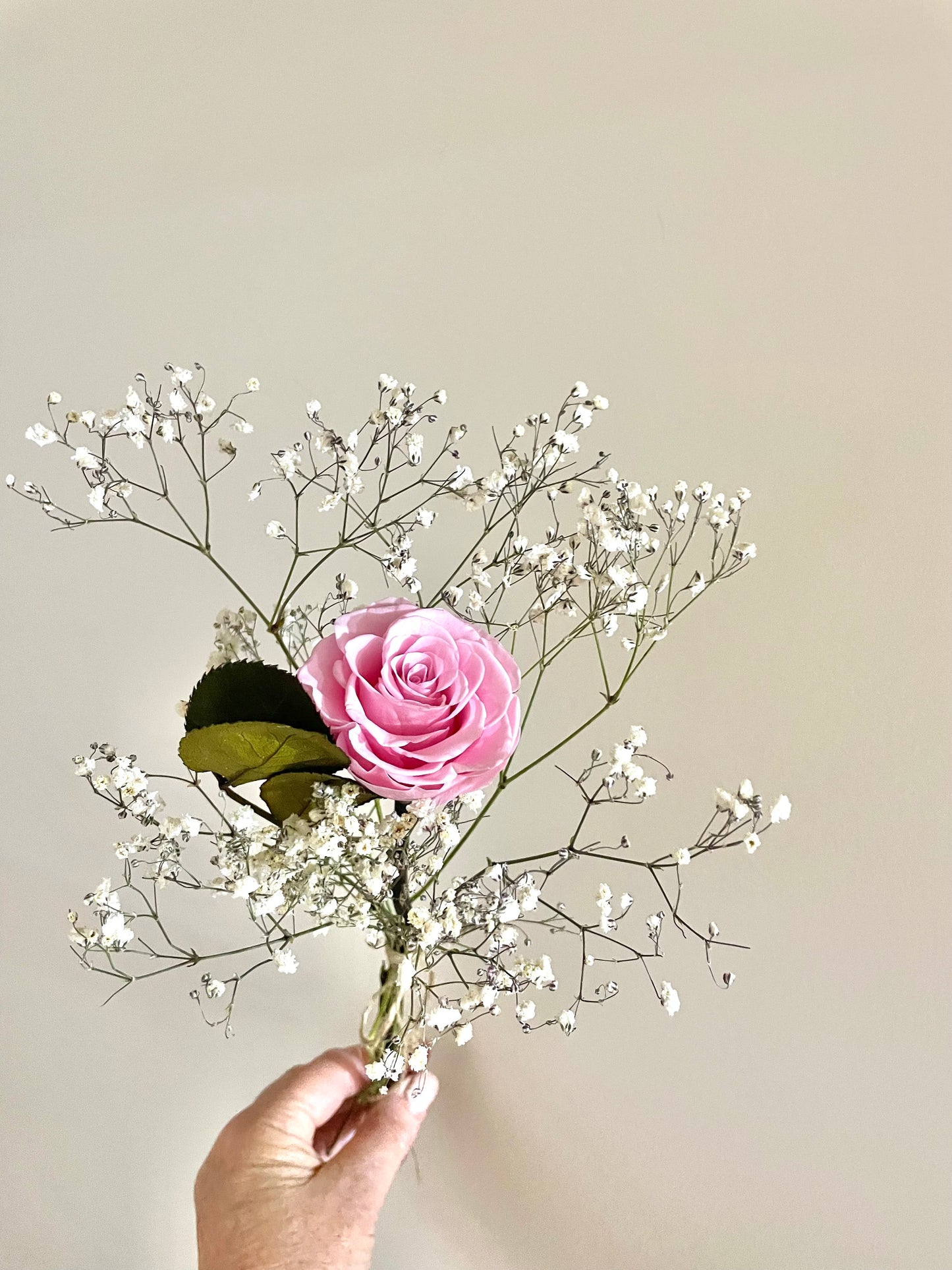 Single Pink Rose