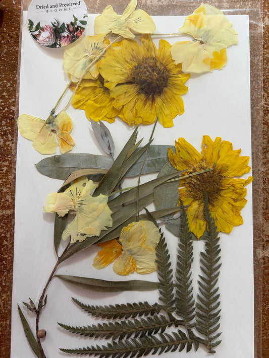 Pressed Flower Pack~ yellow/ Greenery