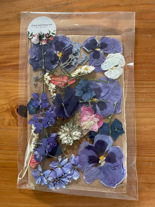 Pressed Flower pack purple mixed