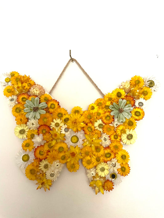Butterfly~ Wall Art