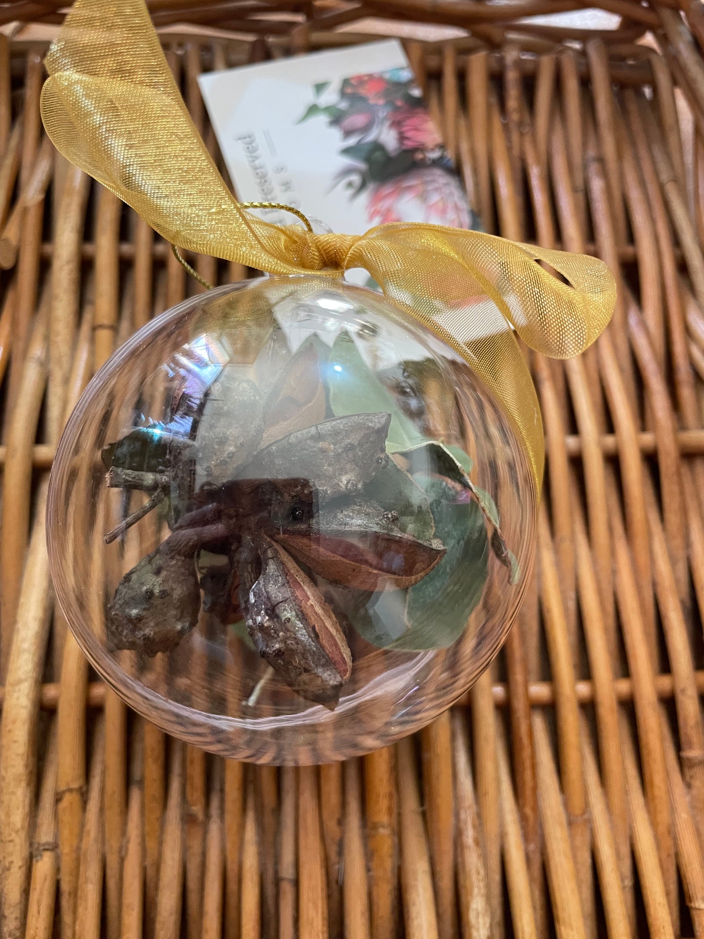 Bauble~ Gumnut 6cm