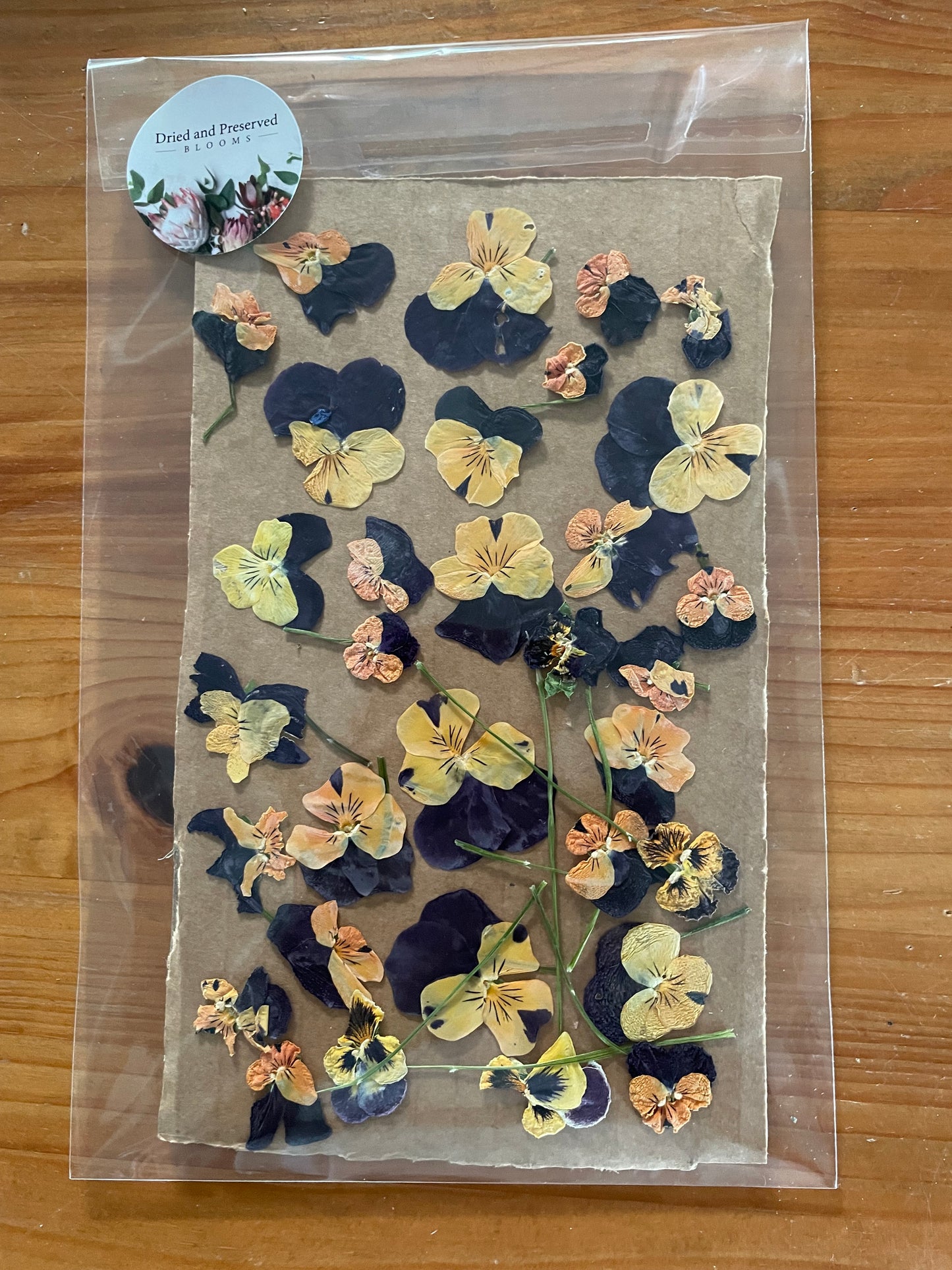Pressed Flower Pack Viola