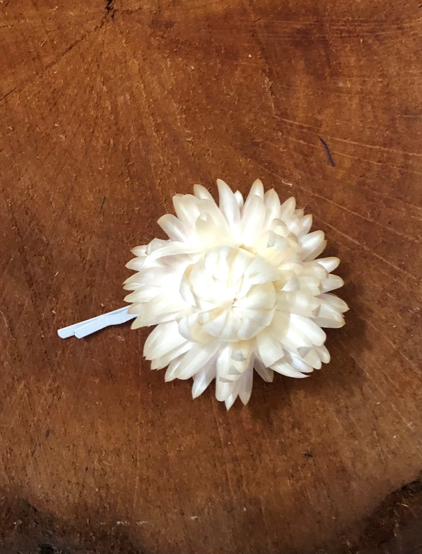 Hair Pin ~ cream strawflower