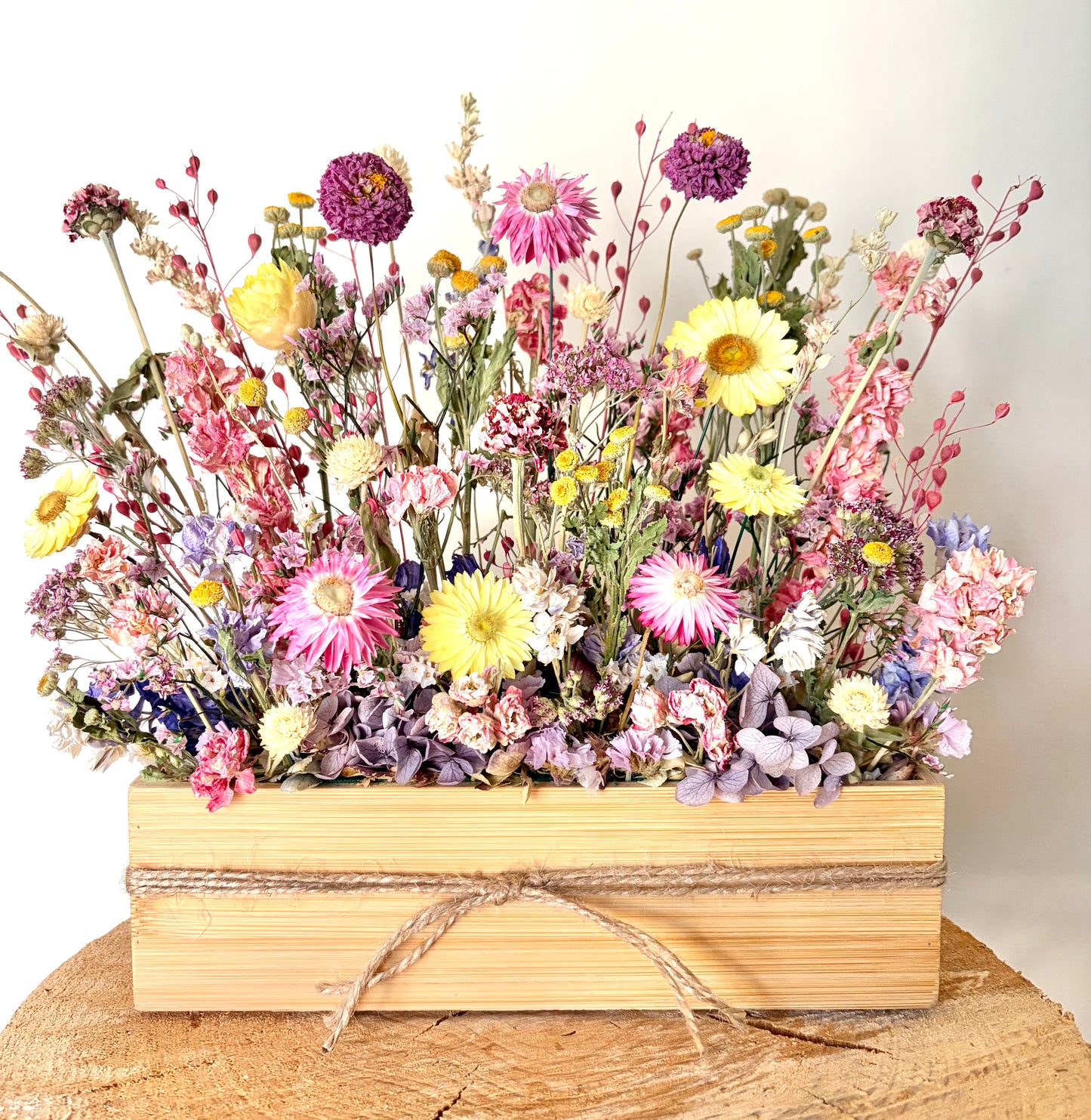 The Pastel Garden