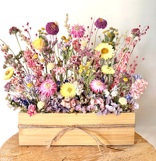 The Pastel Garden
