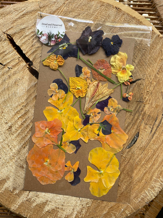Pressed Flower Pack orange & yellow