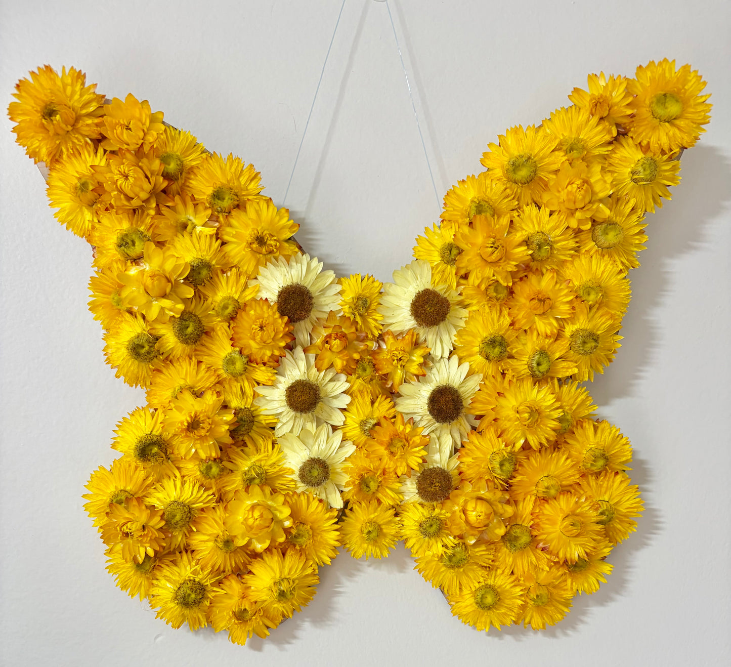 Butterfly Wall Art ~ Yellow
