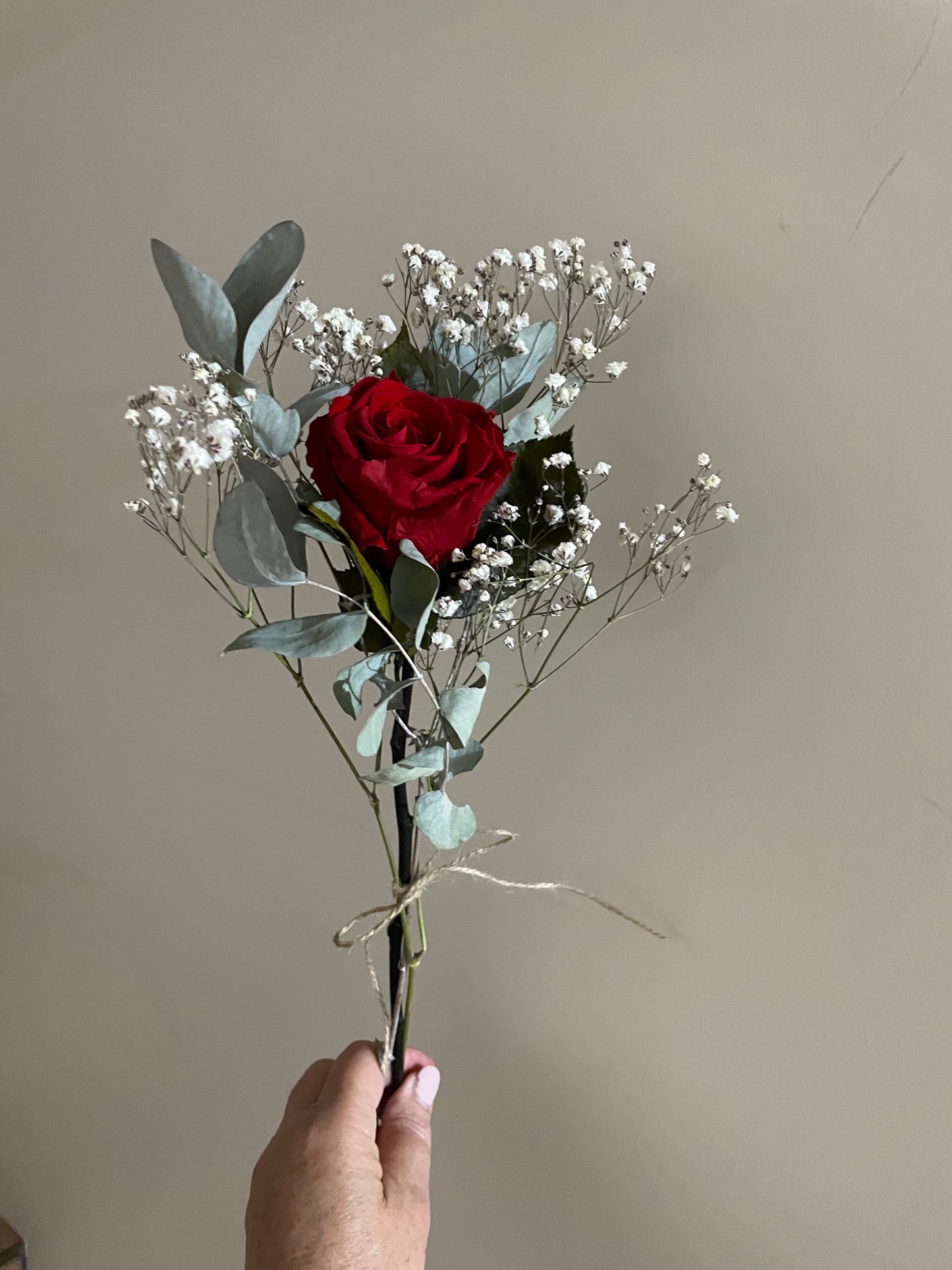Single Red Rose