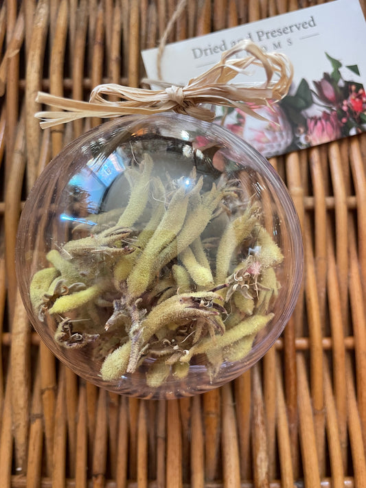 Bauble ~ Kangaroo Paw 8cm