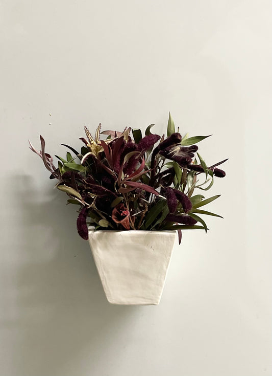 Fridge Magnet~Kangaroo Paw