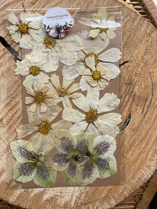 Pressed Flower pack Creamy white