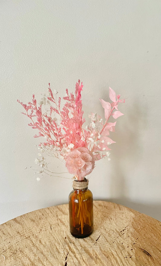 Bottle Baby ~ Scabiosa
