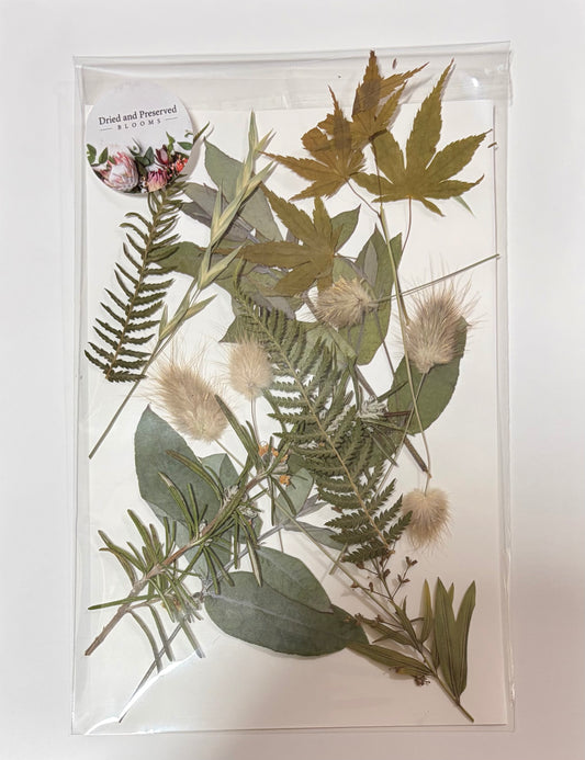 Pressed Flower Pack~ Greenery