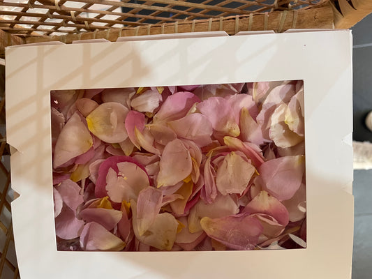 Confetti~Freeze Dried Rose Petal - soft pinks