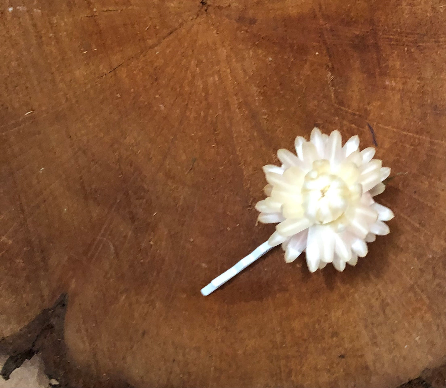 Hair Pin ~ single stem small white strawflower