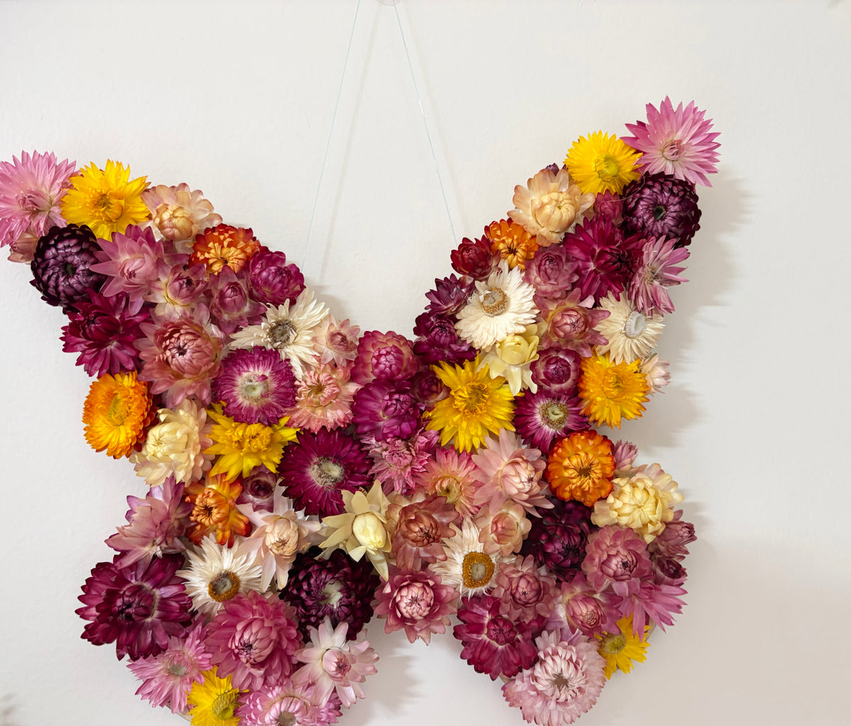 Butterfly Wall Art ~ Mixed