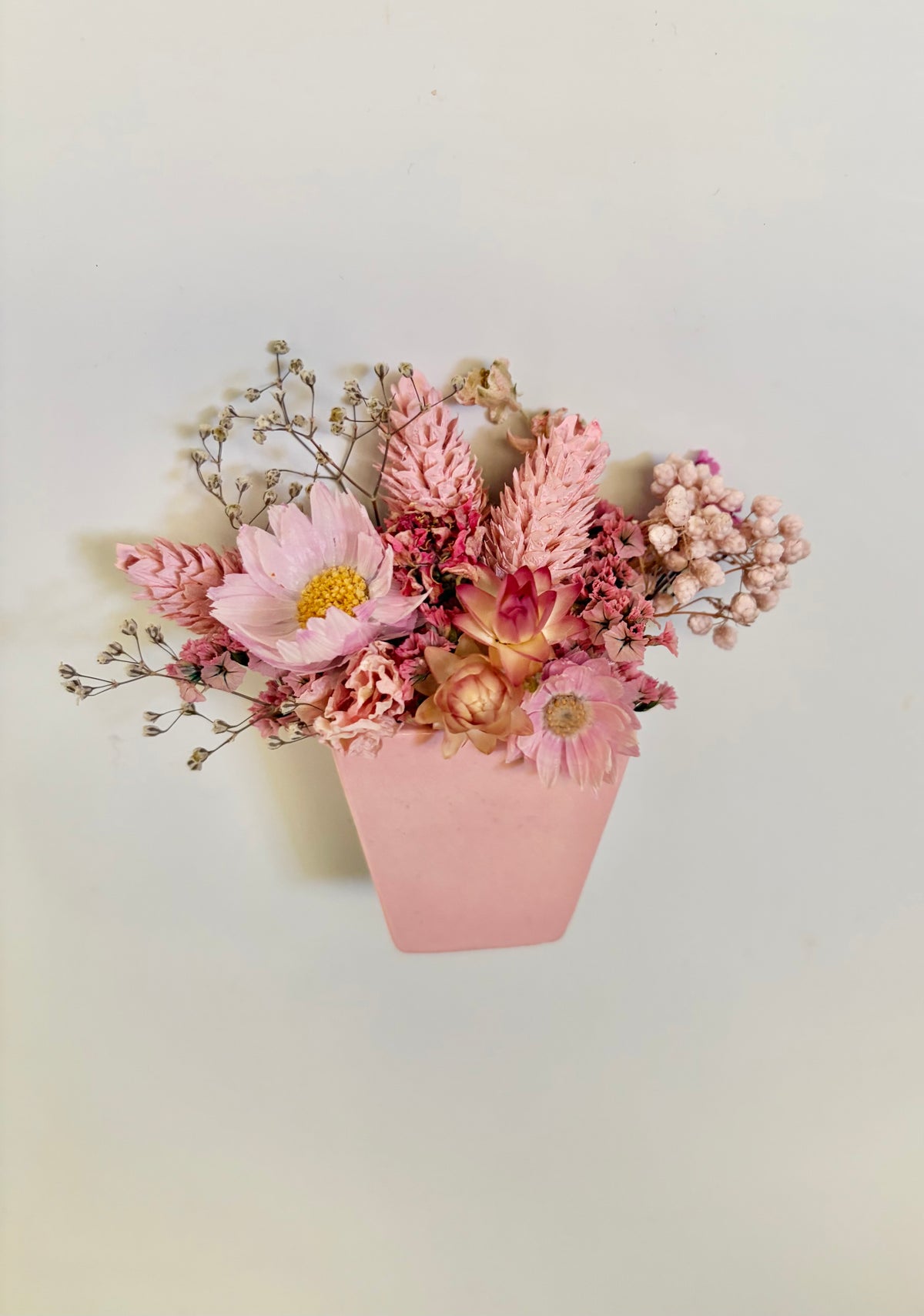 Fridge Magnet~Baby pink