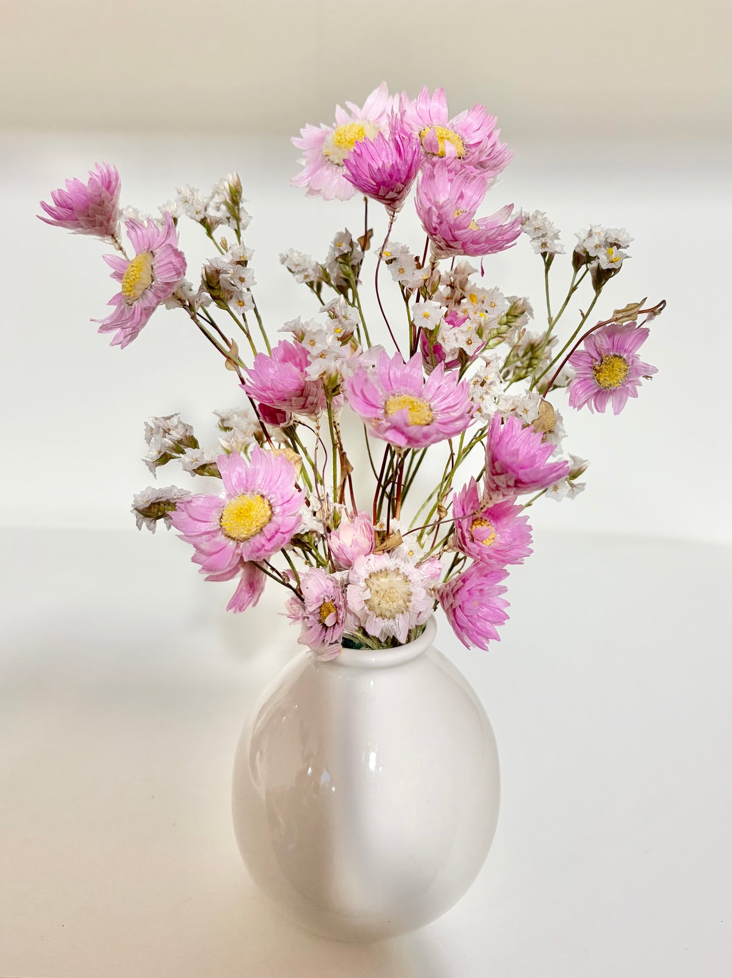 Daisy (Pink)