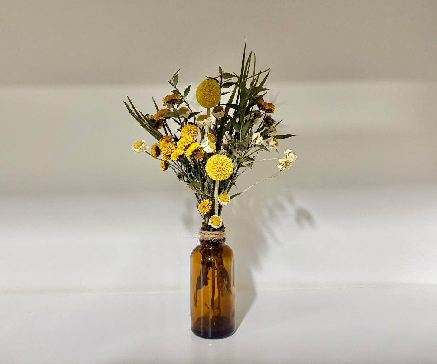 Bottle Baby~Billy Button