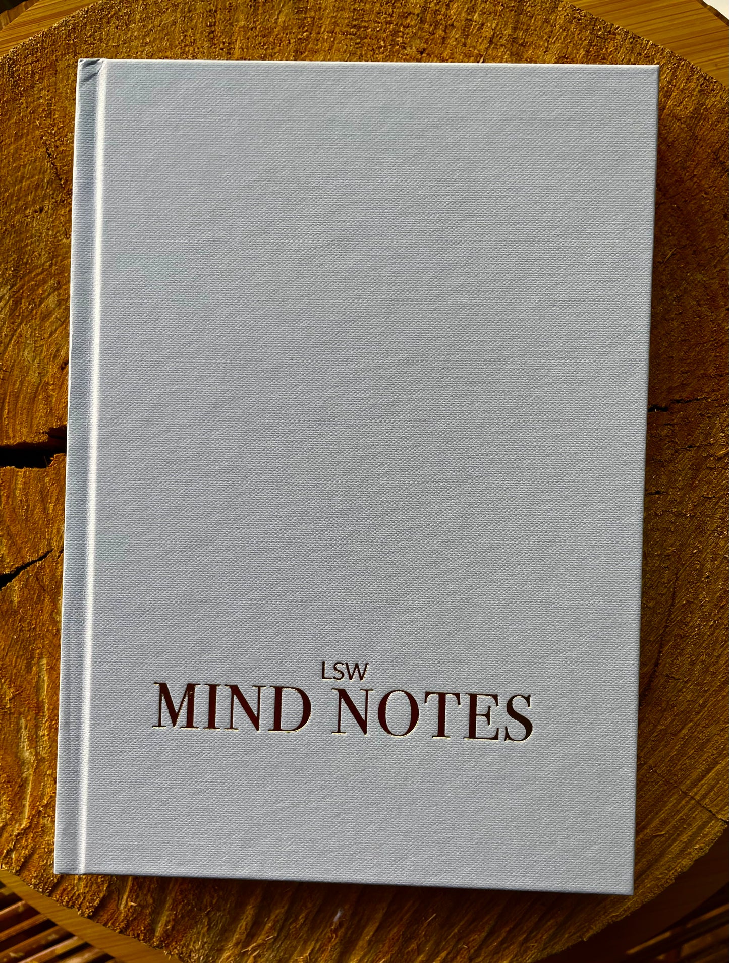 LSW Mind Notes