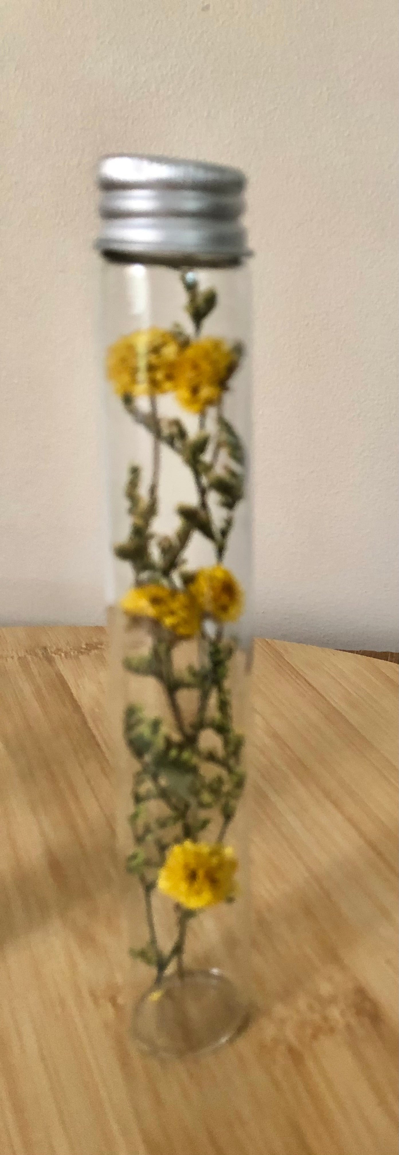 Petal Tube~yellow