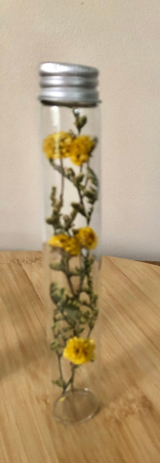 Petal Tube~yellow