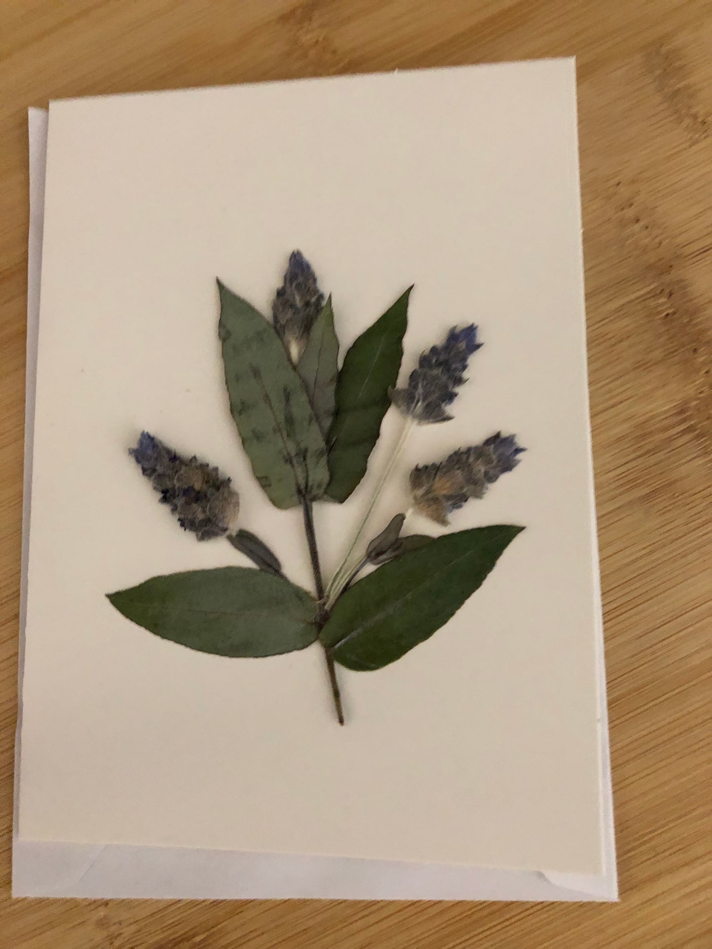 Gift card pressed gum stem and lavender