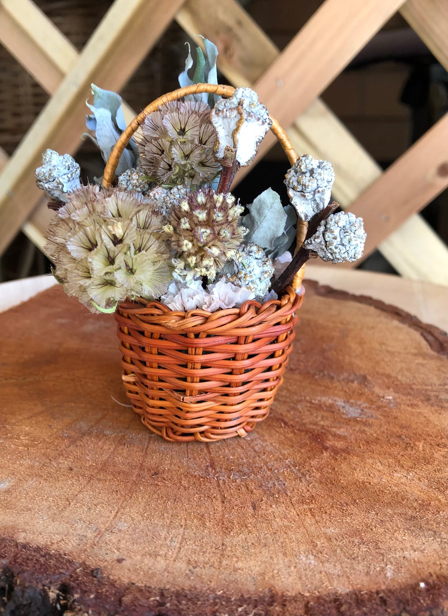 Miniature Basket ~ Blue gumnut