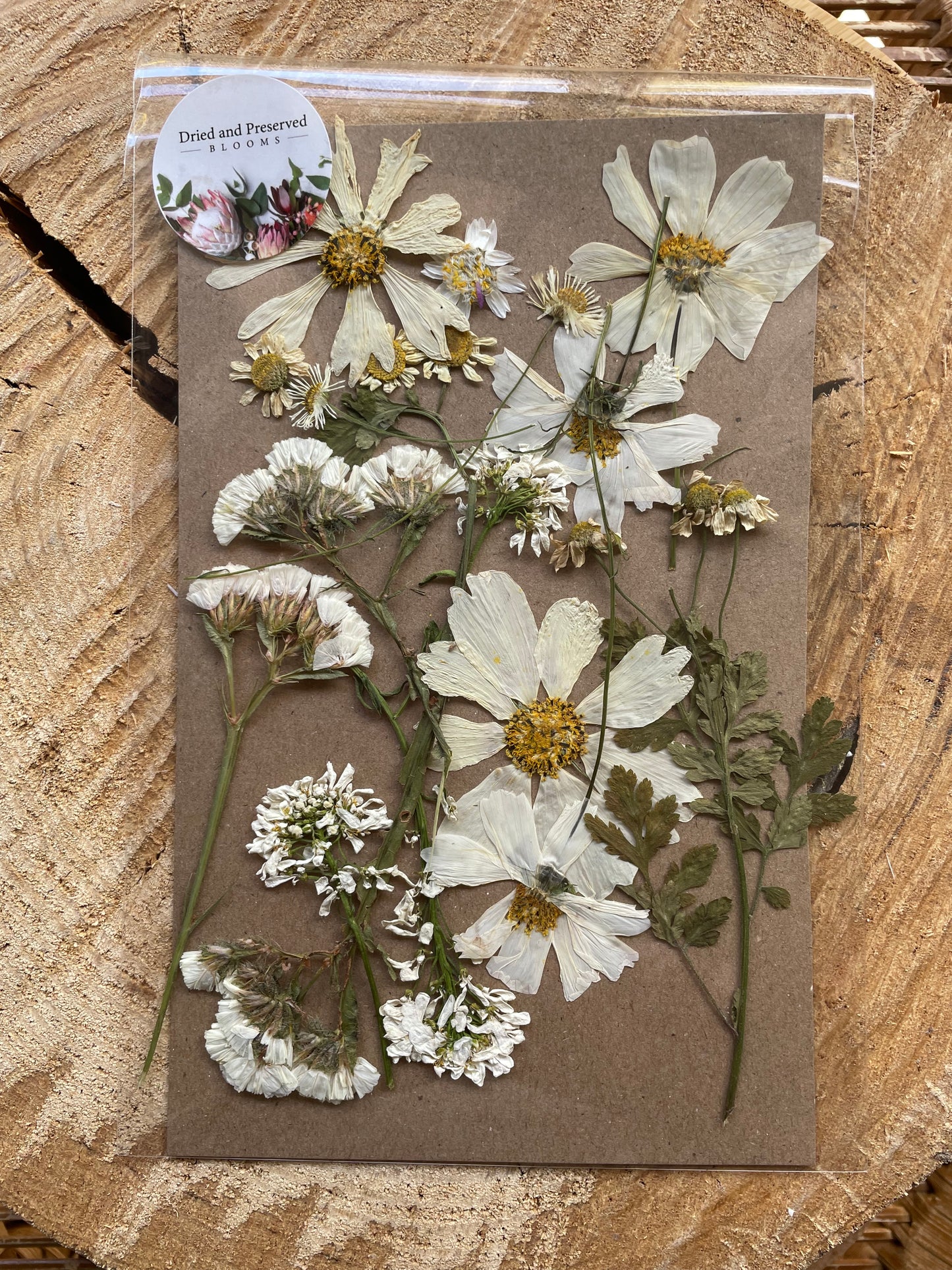 Pressed Flower Pack  white