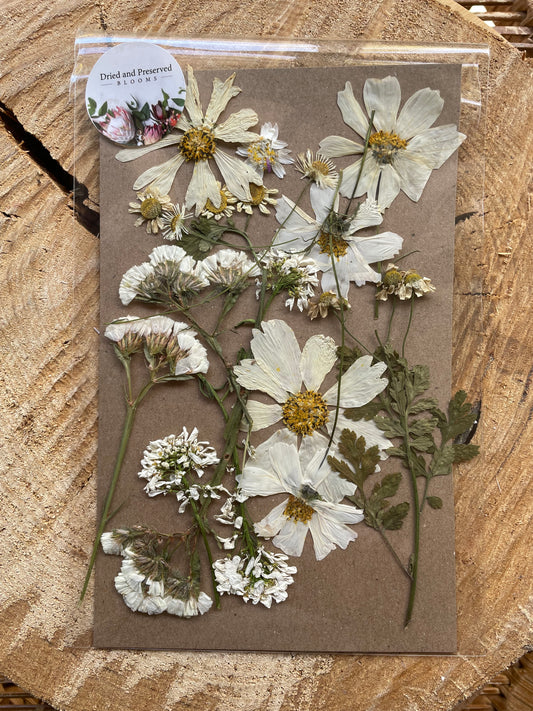 Pressed Flower Pack  white