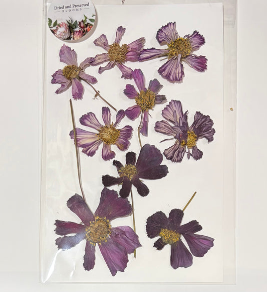 Pressed Flower Pack ~Cosmos