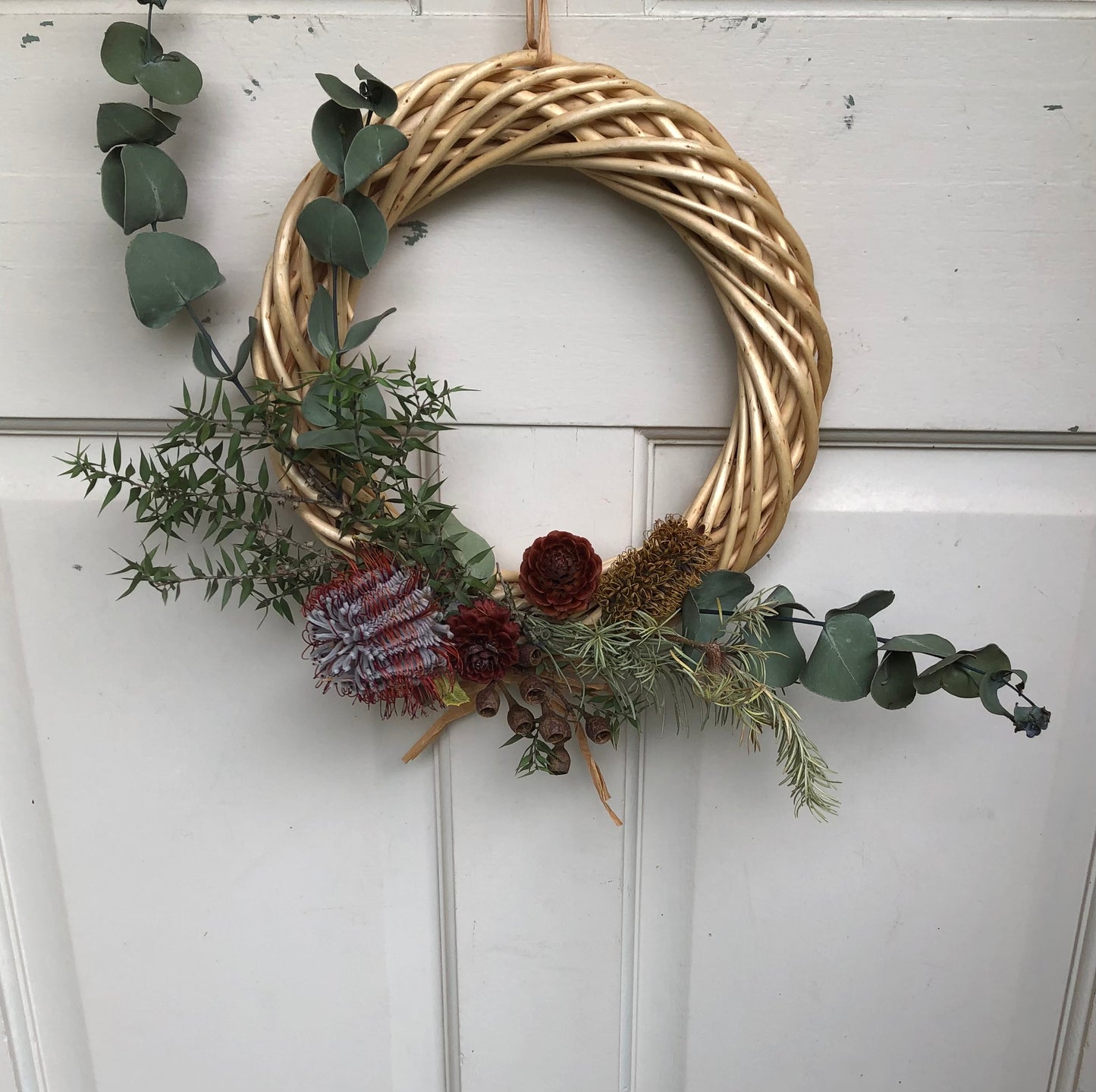 Native Wreath Cochinea