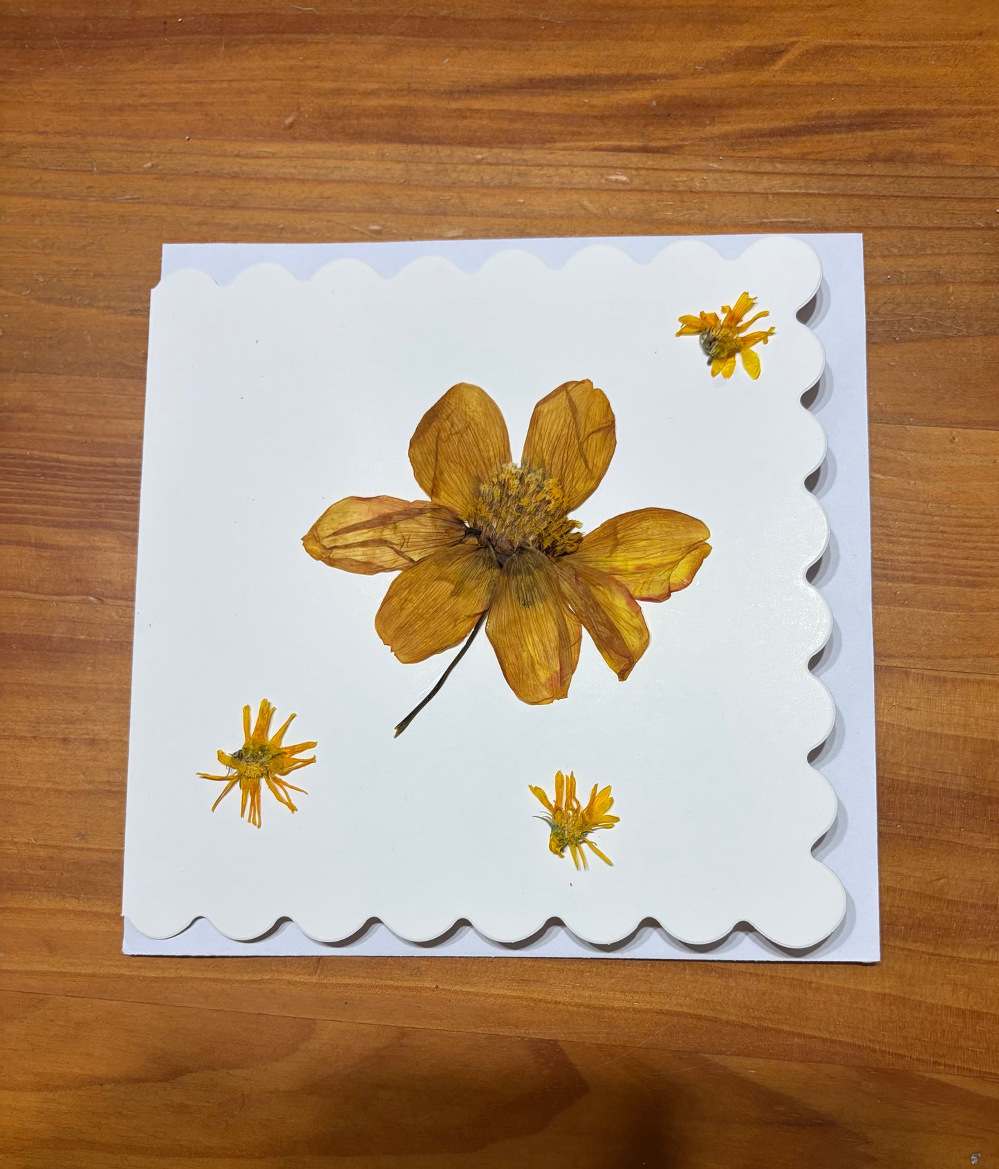 Greeting Card ~ Pressed Flowers