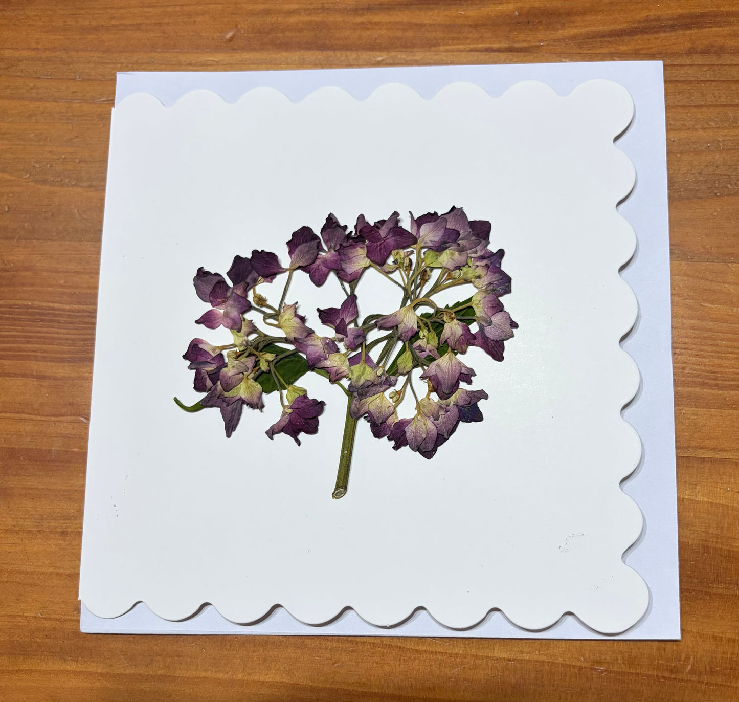 Greeting Card ~ Pressed Flower