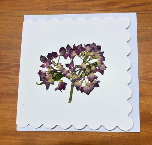 Greeting Card ~ Pressed Flower