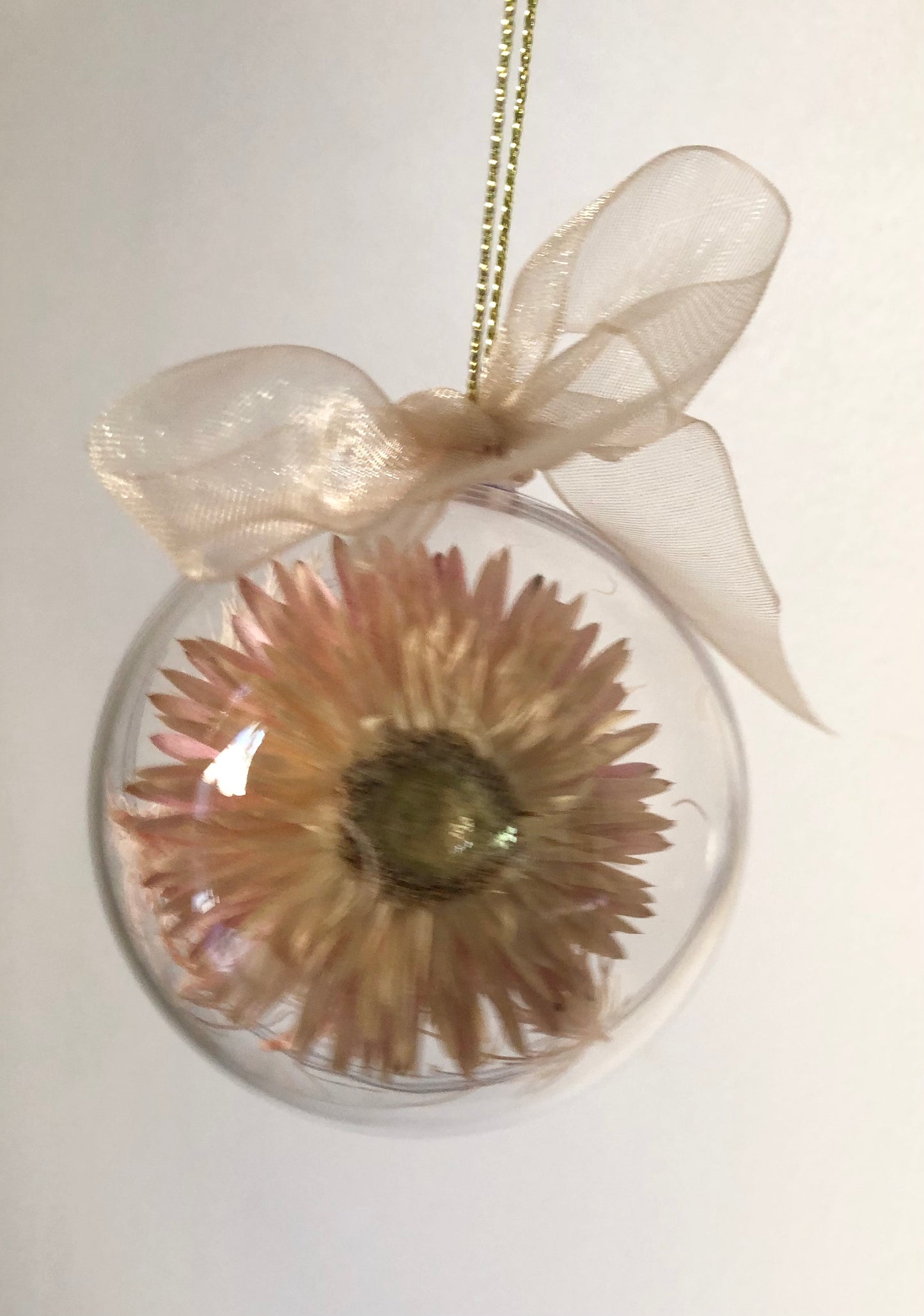 Christmas bauble 6cm pink strawflower gold ribbon