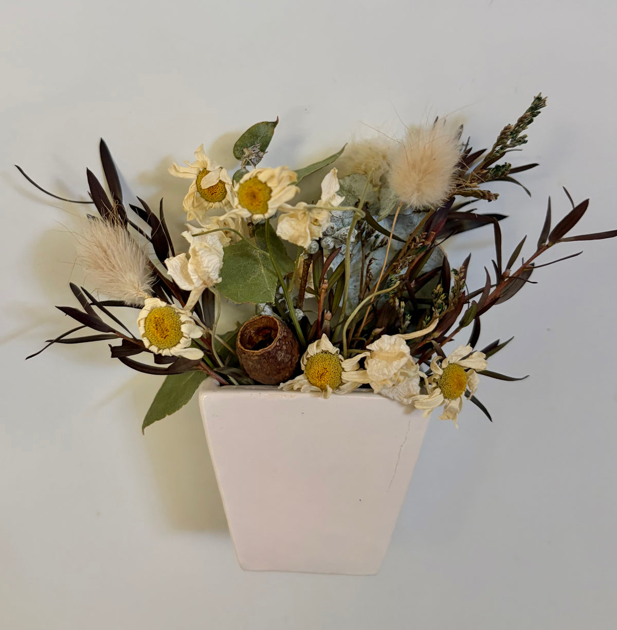 Fridge Magnet ~Feverfew