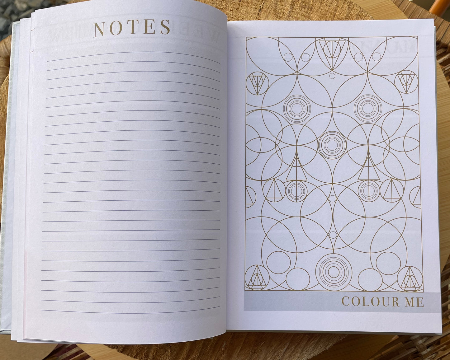 LSW Mind Notes