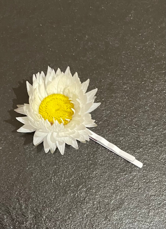 Hair pin ~ Daisy