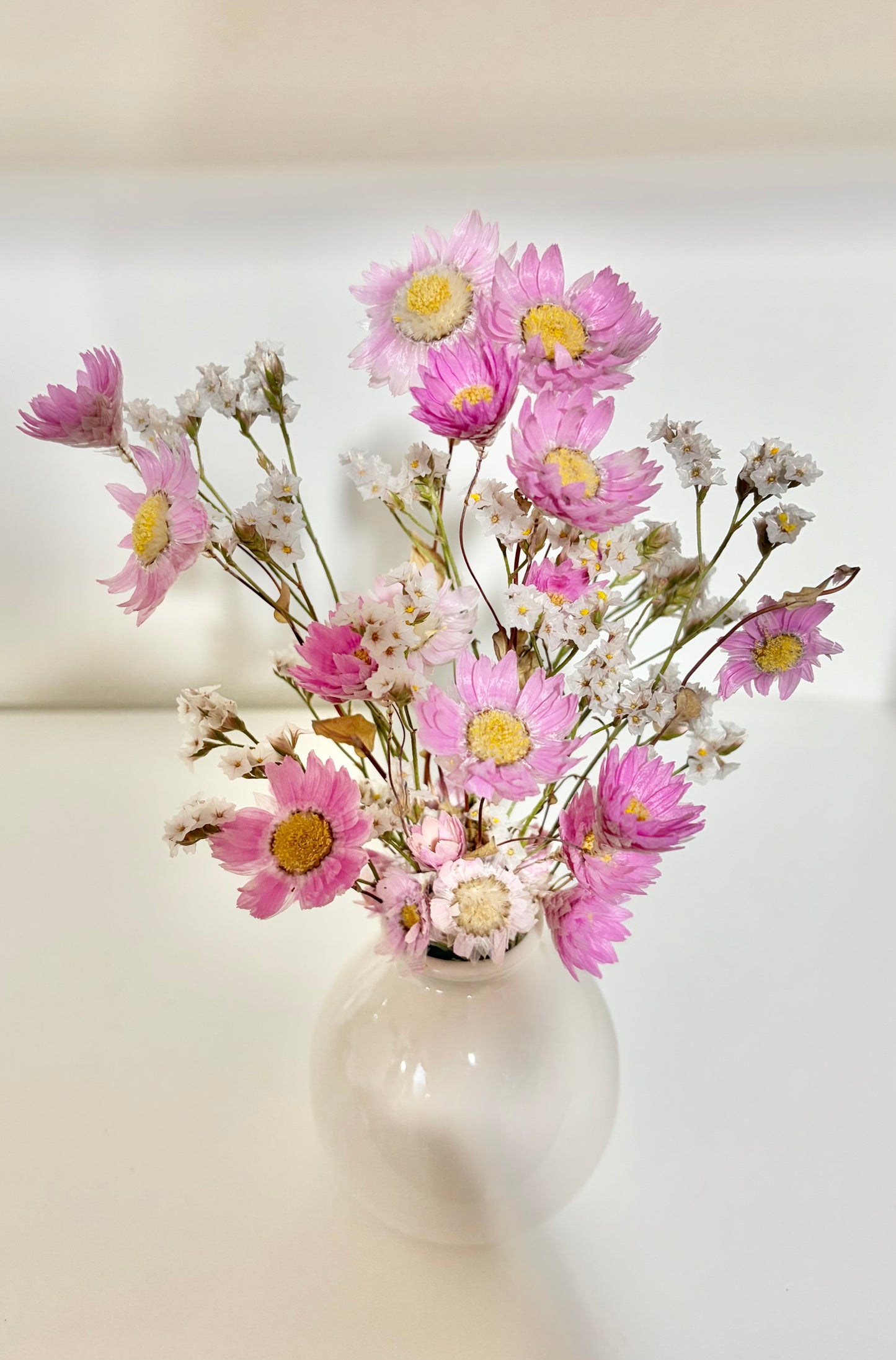 Daisy (Pink)