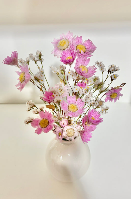 Daisy (Pink)