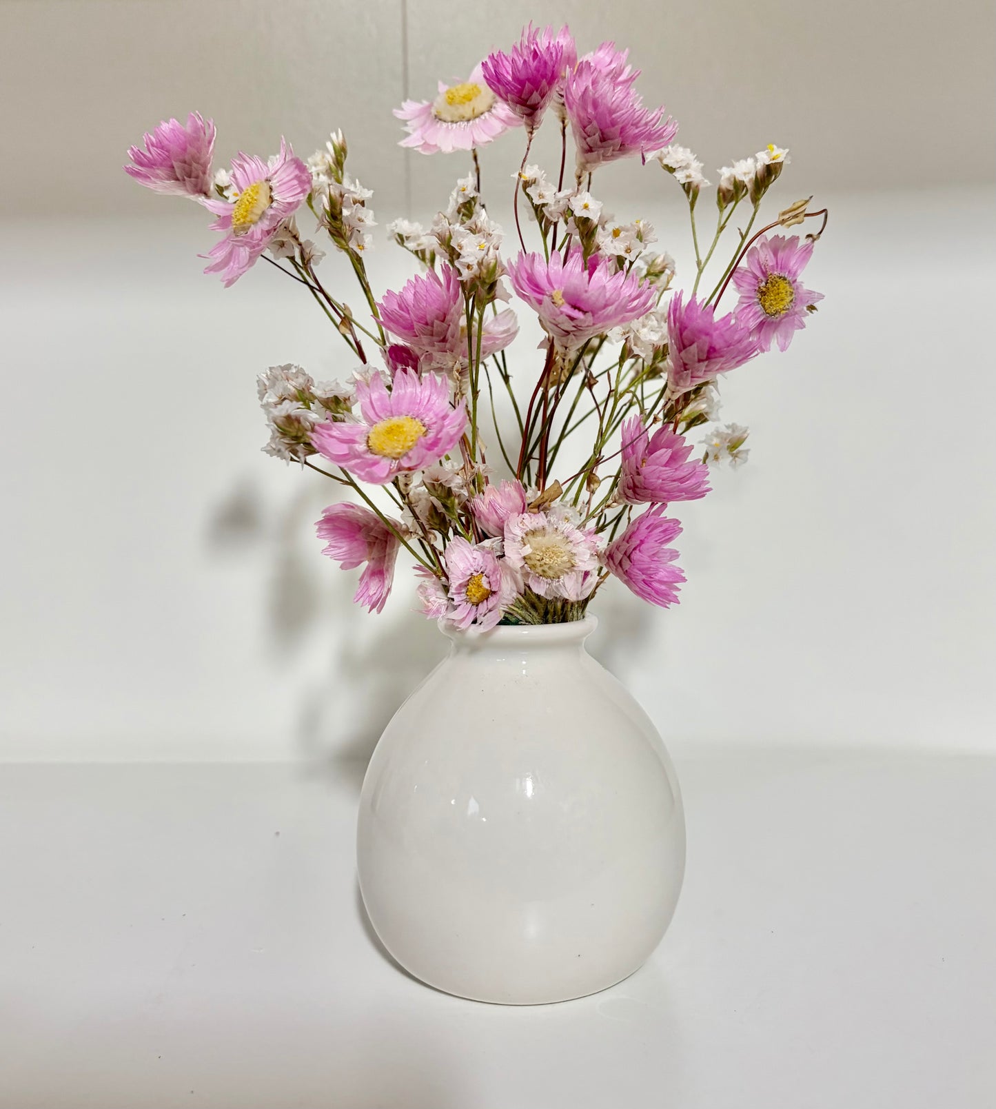 Daisy (Pink)