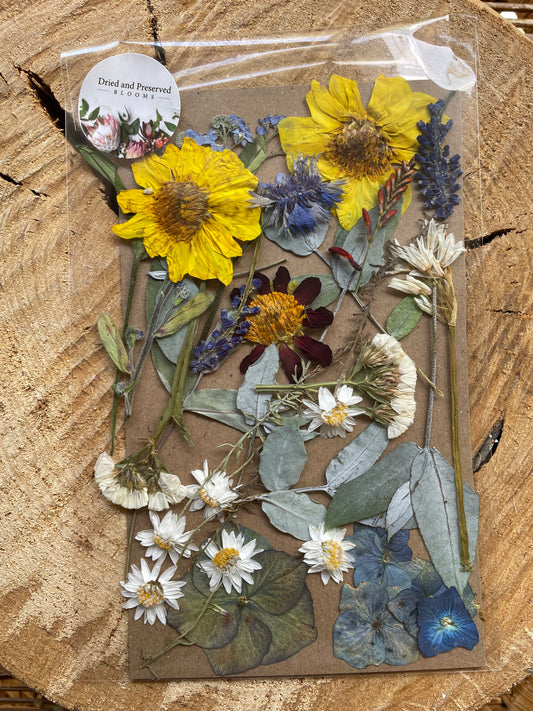 Pressed Flower Pack Mix