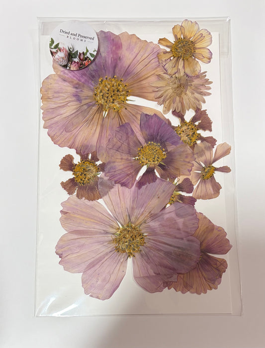Pressed Flower Pack~ cosmos