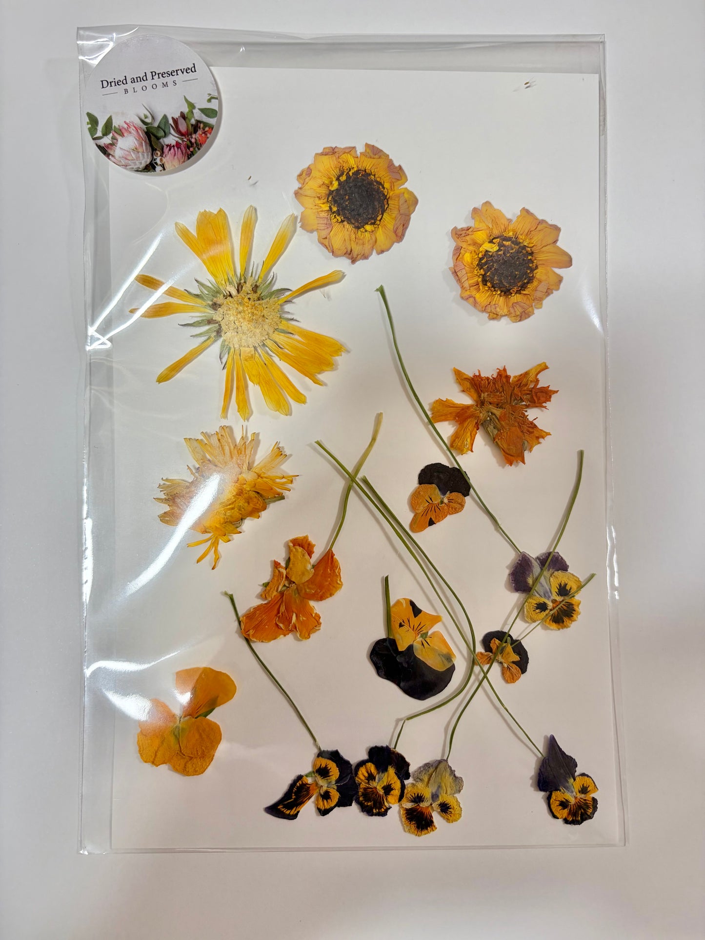 Pressed Flower Pack~Orange/yellow mix